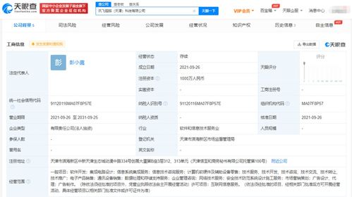 科大訊飛布局新賽道 成立超腦科技公司，深化信息系統(tǒng)集成服務(wù)